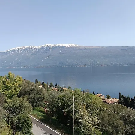 Apartament Verde
